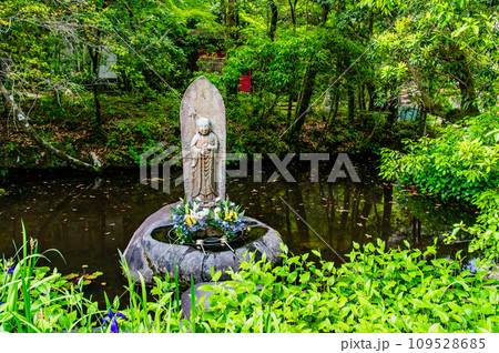 高知 竹林寺 109528685