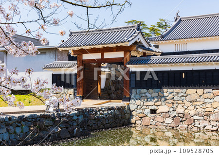 日本100名城　国宝松本城の桜　太鼓門 109528705