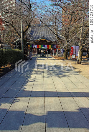 蓮馨寺(川越) 蓮馨寺(川越) 109528719