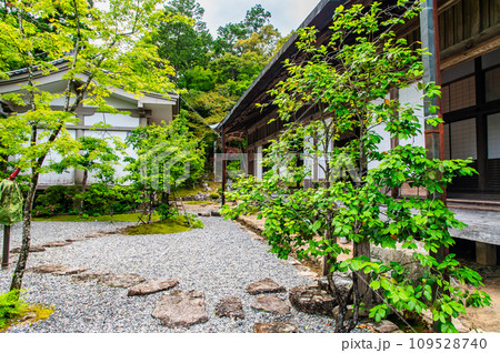 高知 竹林寺　庭園 109528740