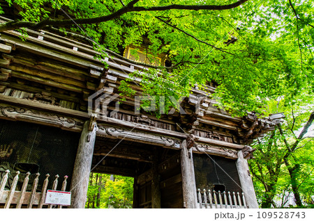 高知 竹林寺 仁王門 高知 竹林寺 仁王門 109528743
