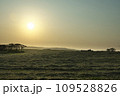 牧場の朝景 109528826