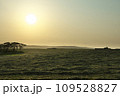 牧場の朝景 109528827