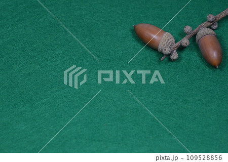 深緑背景の画面右上にどんぐり2個 109528856