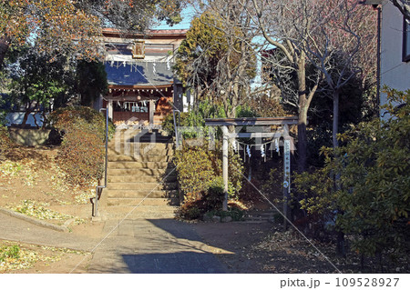 大松氷川神社（練馬） 109528927