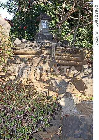 大松氷川神社（練馬） 109528930