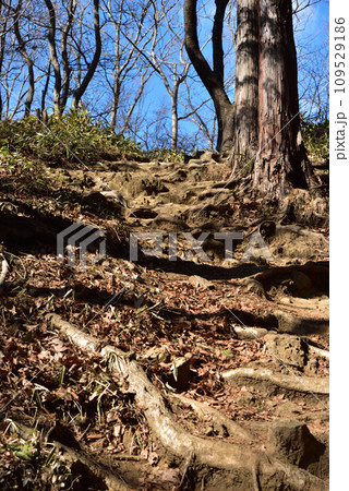 太平山登山、栃木市 109529186