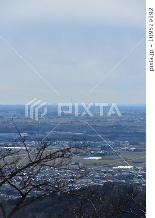 太平山登山、栃木市 太平山登山、栃木市 109529192