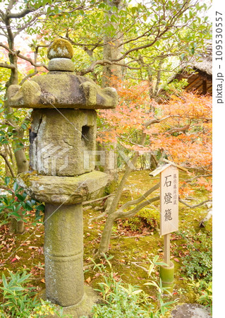 日本庭園の灯籠と紅葉2 109530557