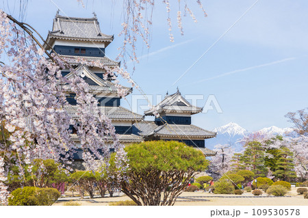 日本100名城 国宝松本城の桜 天守と北アルプスの山々 日本100名城 国宝松本城の桜 天守と北アルプスの山々 109530578