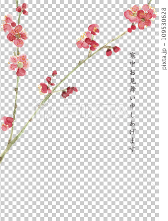 水彩畫梅花插畫【手繪】冬天的問候,白色背景,透明背景 水彩畫梅花插畫【手繪】冬天的問候,白色背景,透明背景 109530628