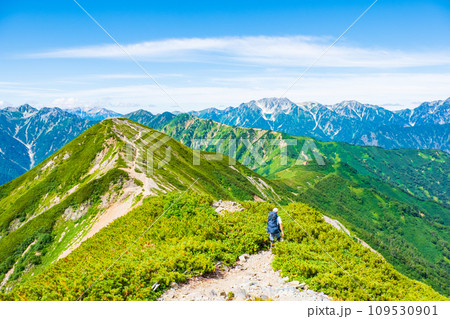 夏の爺ヶ岳登山（爺ヶ岳中峰から南峰・立山方面の眺め） 109530901
