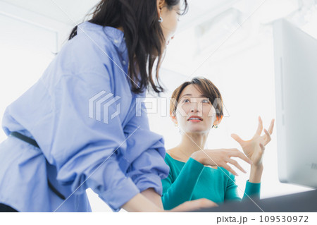 2人のビジネスウーマン 2人のビジネスウーマン 109530972