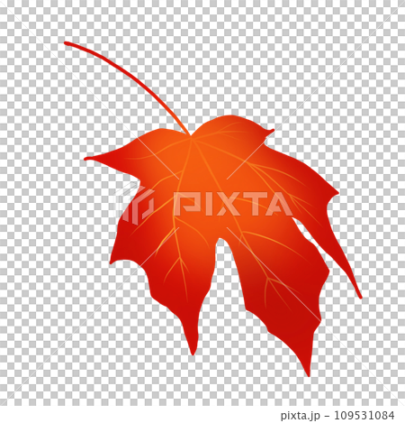 一片紅楓葉 一片紅楓葉 109531084