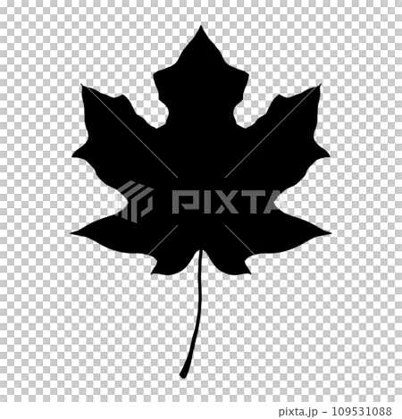 maple leaf silhouette illustration 109531088