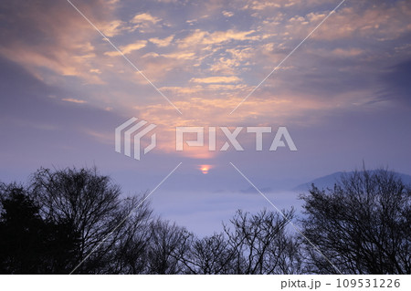 雲海を昇る朝日 雲海を昇る朝日 109531226