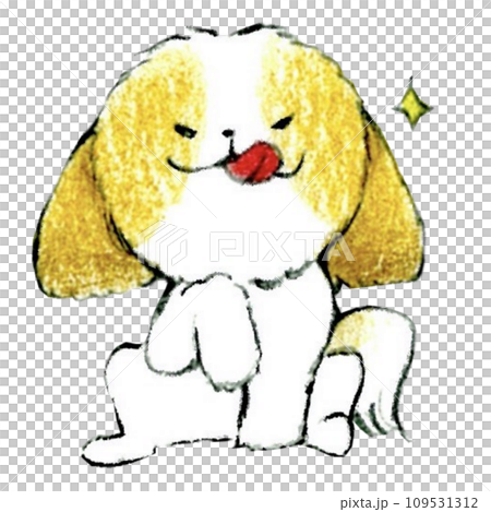 可愛的西施狗的美味表情 可愛的西施狗的美味表情 109531312