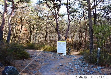 霧島市 高千穂河原霧島神宮の森散策路(登山道)入口と案内板 霧島市 高千穂河原霧島神宮の森散策路(登山道)入口と案内板 109531386