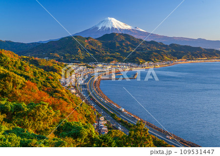 秋の薩埵峠から望む富士山と駿河湾と紅葉 秋の薩埵峠から望む富士山と駿河湾と紅葉 109531447