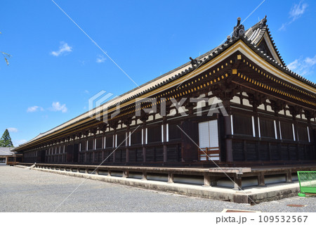 京都市東山区の天台宗の寺院三十三間堂 109532567