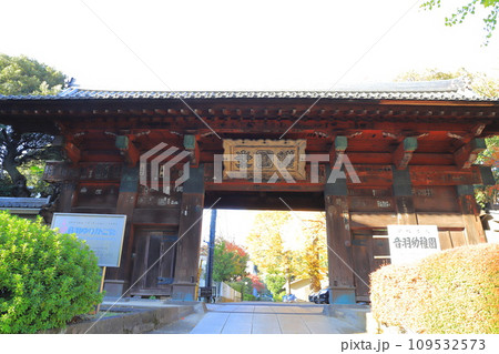 護国神社（ごごくじ）の惣門（そうもん）　東京都文京区 109532573