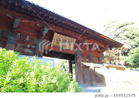 護国神社(ごごくじ)の惣門(そうもん) 東京都文京区 護国神社(ごごくじ)の惣門(そうもん) 東京都文京区 109532575