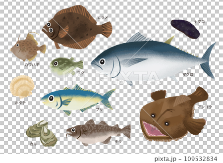 Illustration of seasonal fish in winter Illustration of seasonal fish in winter 109532834