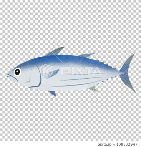 カツオのイラスト素材 109532947