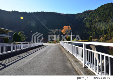 四時（しとき）ダム　2022-11-27　＃25 109533015