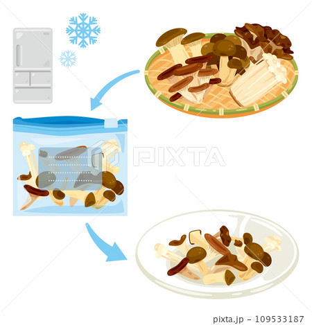 冷凍保存されたキノコと生のキノコ 109533187