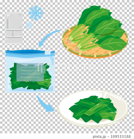 Frozen spinach and fresh spinach set 109533188