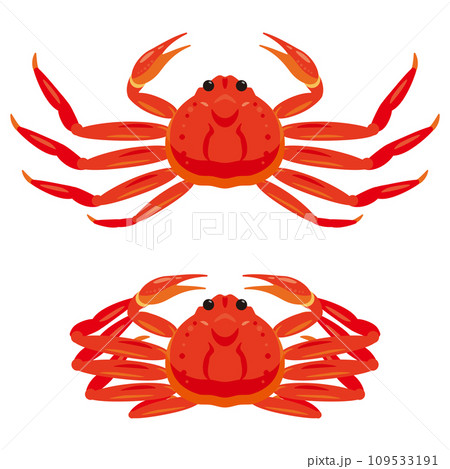 ズワイガニセット 109533191