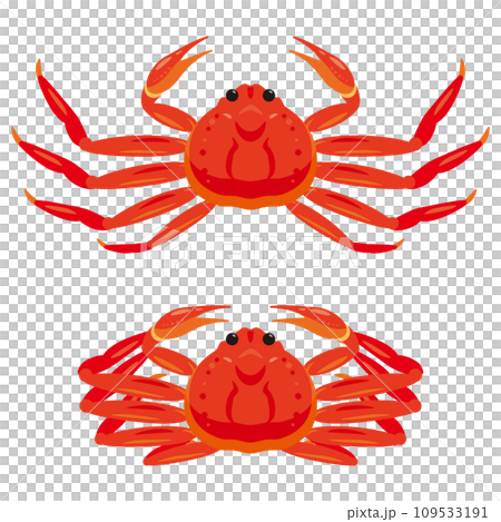 ズワイガニセット 109533191