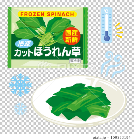 Frozen spinach set on a plate Frozen spinach set on a plate 109533194