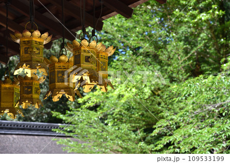京都市下鴨神社の摂社 河合神社の神前灯籠 京都市下鴨神社の摂社 河合神社の神前灯籠 109533199