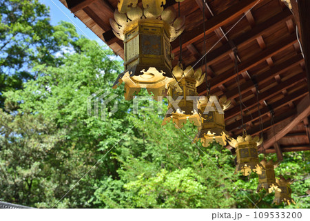 京都市下鴨神社の摂社 河合神社の神前灯籠 京都市下鴨神社の摂社 河合神社の神前灯籠 109533200
