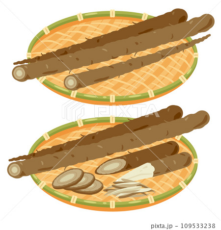 ザルに盛られたごぼうセット ザルに盛られたごぼうセット 109533238