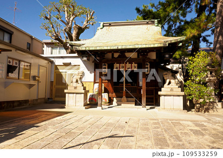 横屋八幡神社 横屋八幡神社 109533259