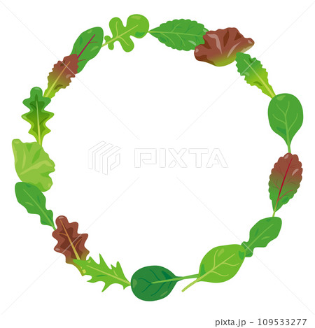 丸いアーチ状に配置されたベビーリーフ 109533277