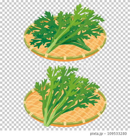 Shungiku set in a colander Shungiku set in a colander 109533280