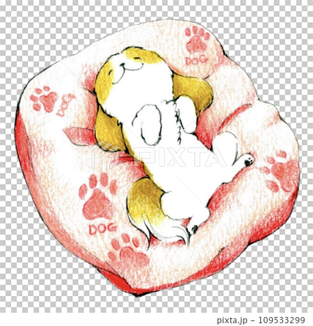 一隻可愛的西施狗睡在床上的插圖 109533299