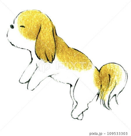 かわいいシーズー犬の眠るイラスト かわいいシーズー犬の眠るイラスト 109533303