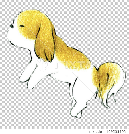 かわいいシーズー犬の眠るイラスト かわいいシーズー犬の眠るイラスト 109533303