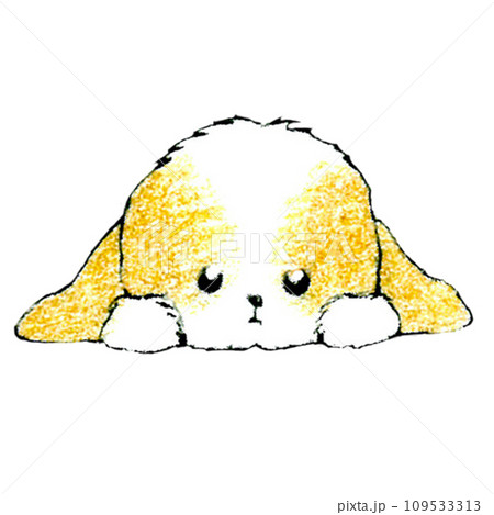 かわいいシーズー犬のフセのイラスト02 かわいいシーズー犬のフセのイラスト02 109533313