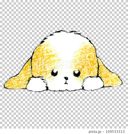 かわいいシーズー犬のフセのイラスト02 かわいいシーズー犬のフセのイラスト02 109533313
