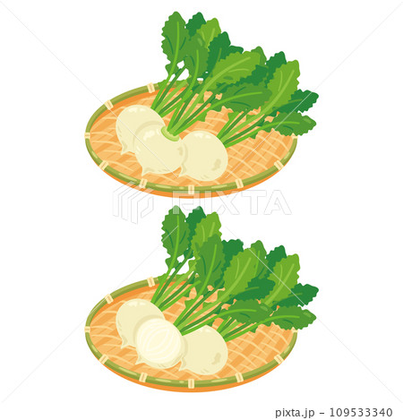 ザルに盛られたカブセット 109533340