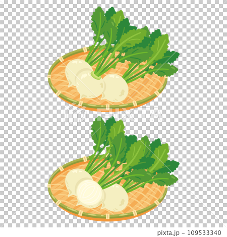 ザルに盛られたカブセット 109533340