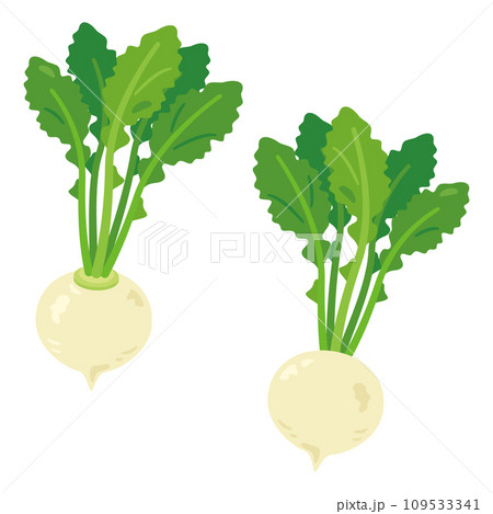 カブセット 109533341