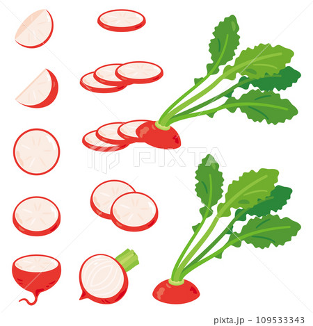 カットラディッシュセット 109533343