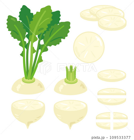 カットカブセットのイラスト素材 [109533377] - PIXTA